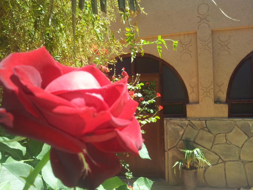 Nkob Maison D' Hotes Ait Hmid מראה חיצוני תמונה
