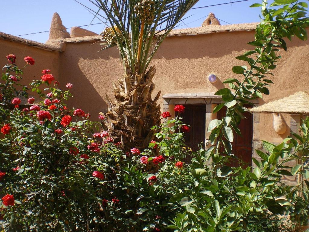Nkob Maison D' Hotes Ait Hmid מראה חיצוני תמונה
