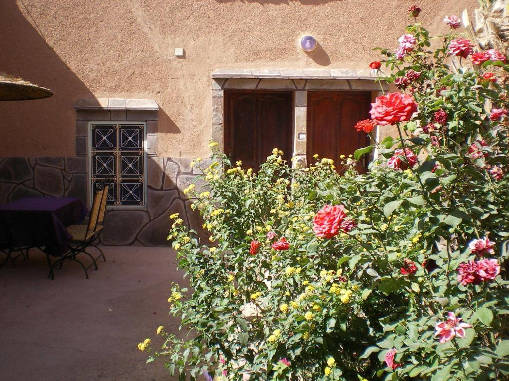 Nkob Maison D' Hotes Ait Hmid מראה חיצוני תמונה