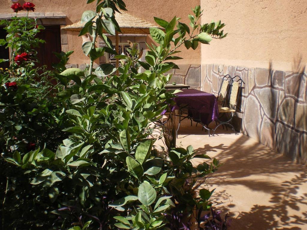 Nkob Maison D' Hotes Ait Hmid מראה חיצוני תמונה